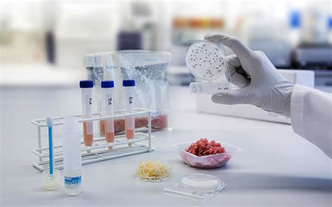 laboratory analysis ltd|food analysis laboratory near me.